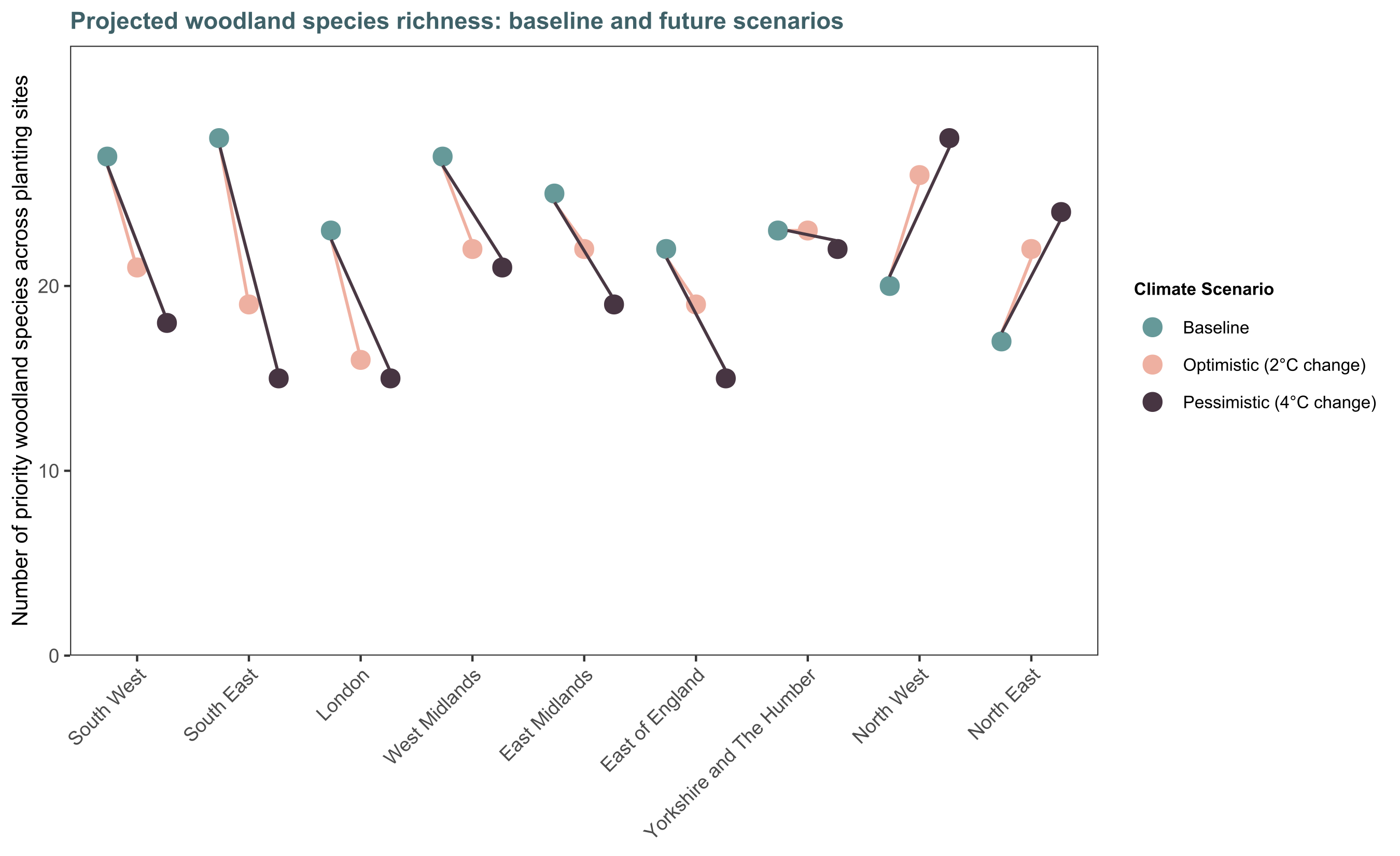 Total number of priority woodland plant and bird species with climatic ranges that intersect NCF planting sites in each region of England under baseline climates (1961–1990) and two future (2070–2099) climate change scenarios: an ‘Optimistic’ scenario (B1) and a more ‘Pessimistic’ scenario (A1B) from the UKCP09. The original climate suitability maps for each species were taken from Critchlow et al. (2022).