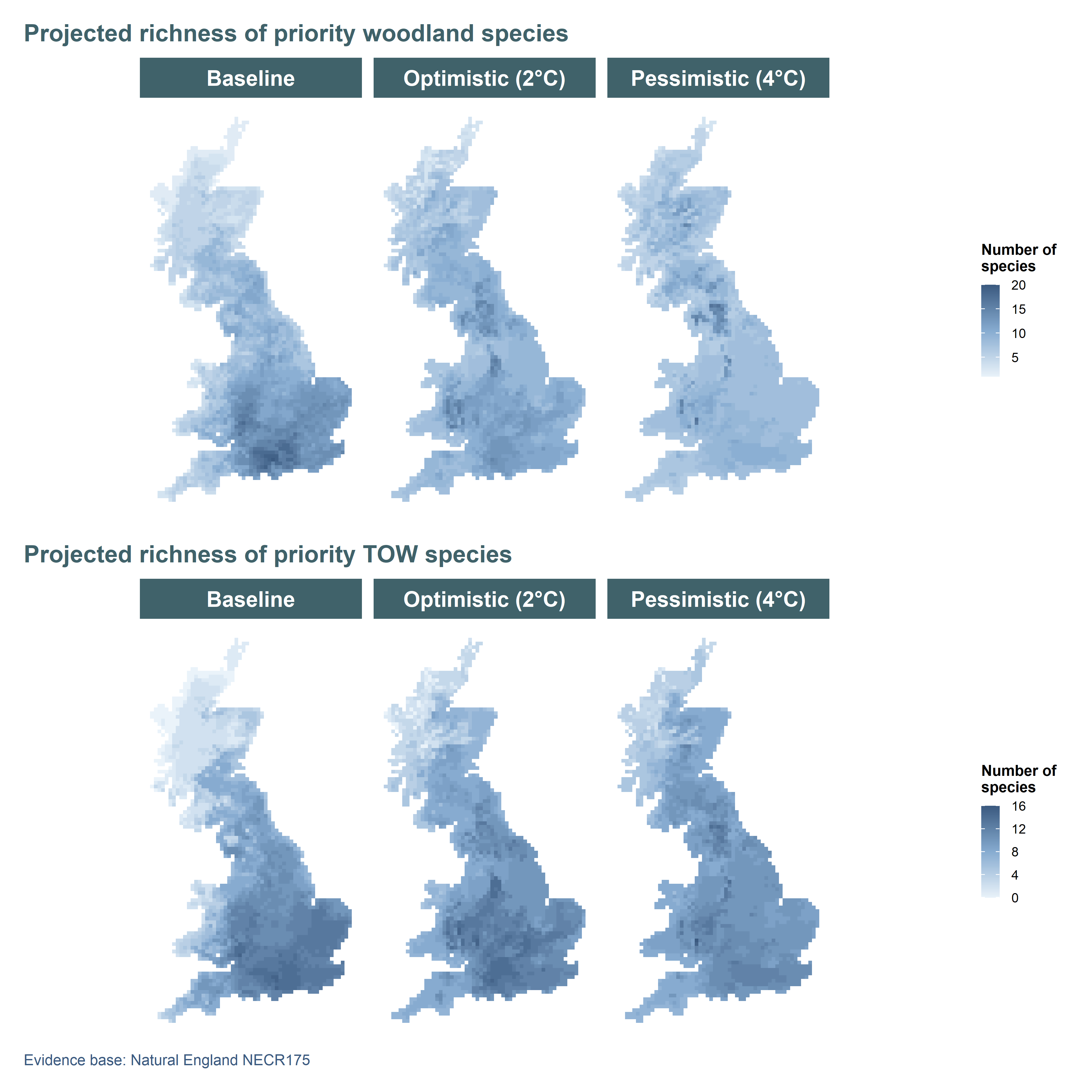 Projected woodland and TOW species richness of 30 priority plant and bird species under baseline (1961–1990) and projected future climate (2070–2099). Future conditions are based on an ‘Optimistic’ scenario (B1) and a more ‘Pessimistic’ scenario (A1B) from the UKCP09. Climate suitability maps for each species were taken from Critchlow et al. (2022).